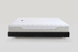 Magnistretch Sport 9 Plus 